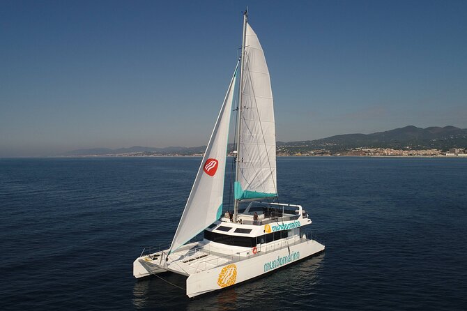 3-Hours Catamaran Tour in Malaga with Paella - Safety and comfort details worth noting