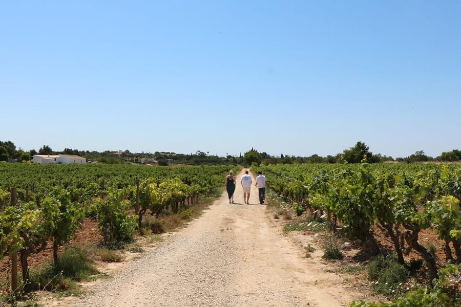 Albufeira/Porches/Vilamoura: Wine Tasting with Tapas & Music - Finding the winery near Albufeira