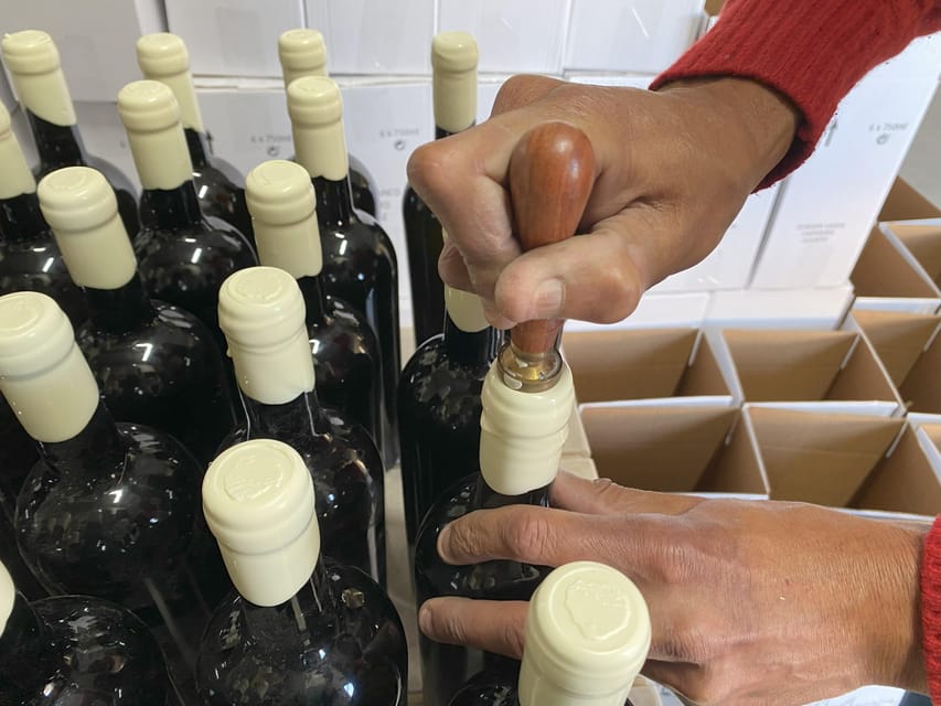 Albufeira/Porches/Vilamoura: Wine Tasting with Tapas & Music - Shopping for Algarve bottles and regional goods