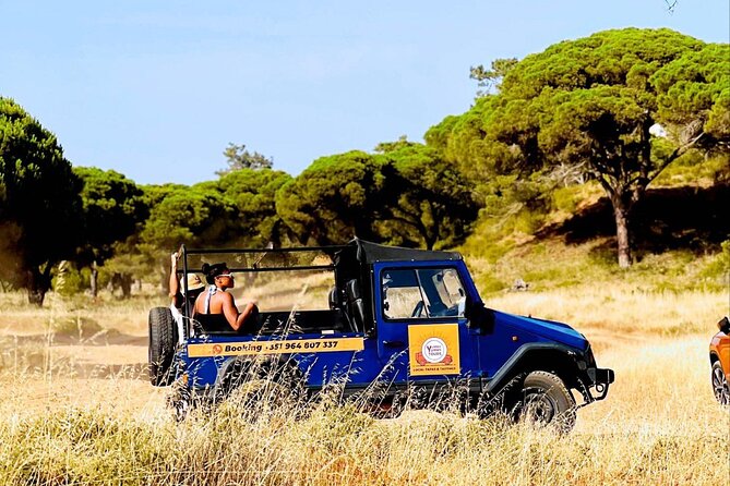 Albufeira Tour with Local Tapas and Tasting - A short look through Albufeira