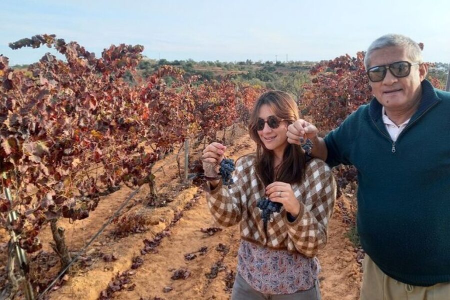 Albufeira/Vilamoura: Winery Tour with Wine Tasting and Tapas - Key points to know before you book