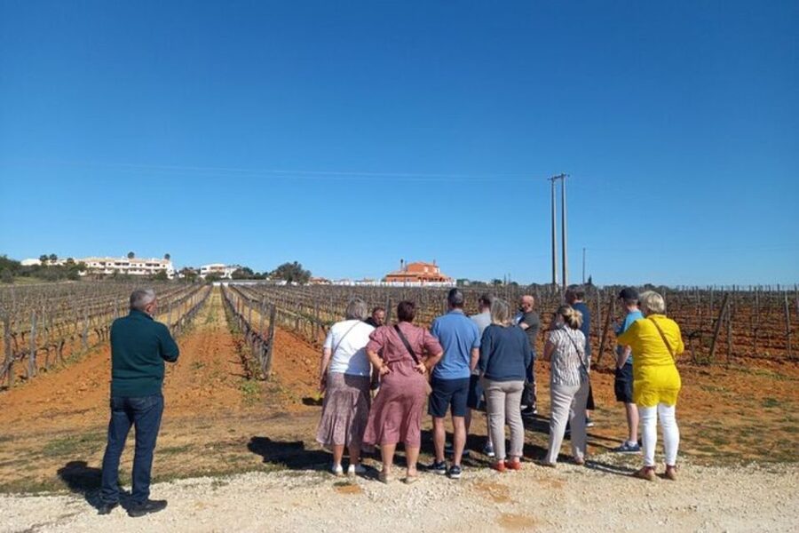 Albufeira/Vilamoura: Winery Tour with Wine Tasting and Tapas - Should you book this Algarve winery tour?
