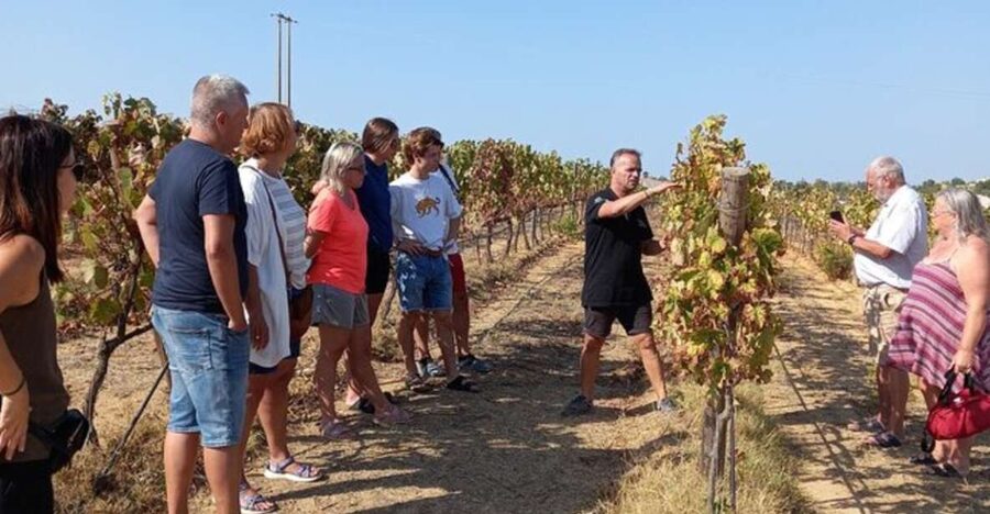 Albufeira/Vilamoura: Winery Tour with Wine Tasting and Tapas - Arriving at Quinta do Canhoto