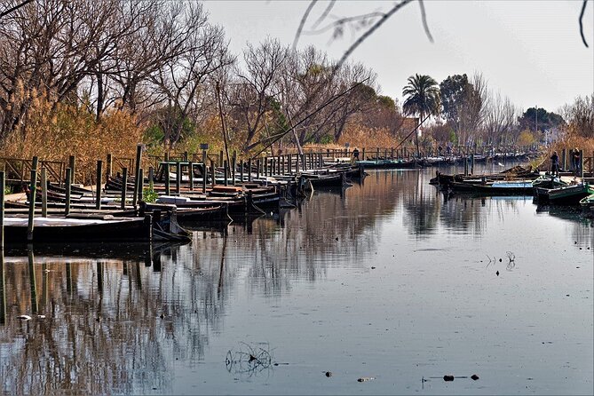 Albufera: Lake, Paella and Birdwatching - Rice fields and the story of Albufera