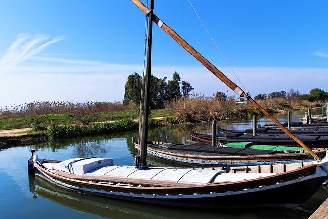 Albufera: Lake, Paella and Birdwatching - El Palmar and the 45-minute lagoon cruise