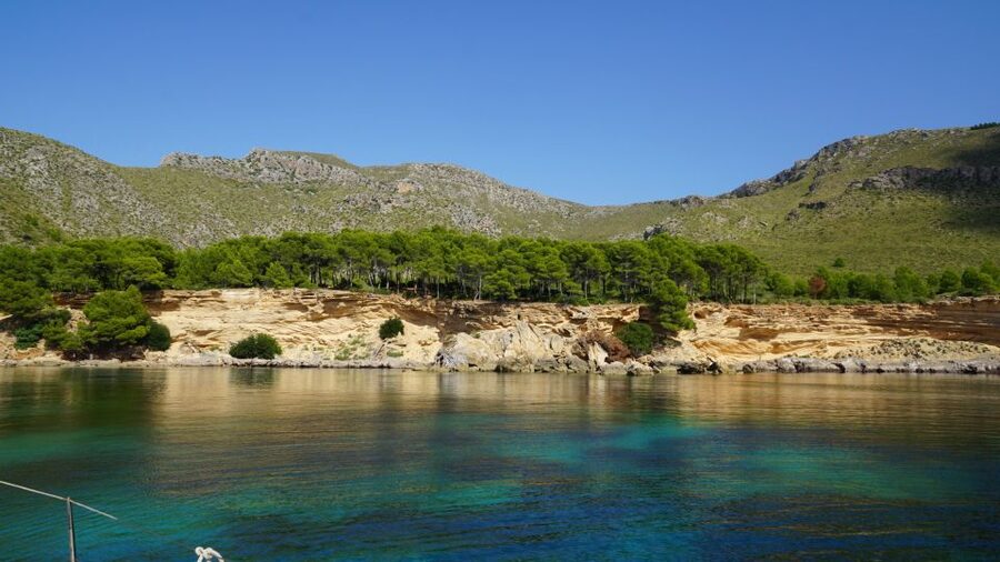 Alcudia: Sailing Yacht Excursion with Wine & Tapas - Should you book this Alcudia sailing trip?