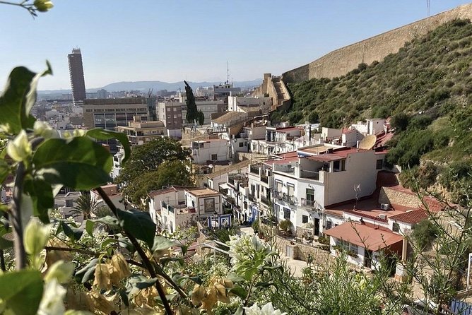 Alicante Historic Small Group Tour with Tapas Tasting - Guides, group size, and the feel of the tour