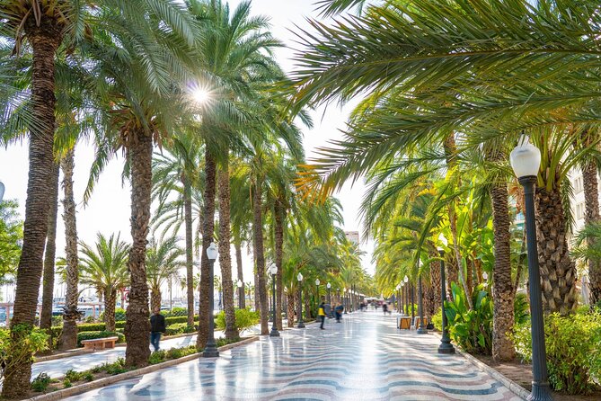 Alicante Tour: Full City, Castle, Market & Tapas Experience - City Hall and the story inside Santa Maria Basilica