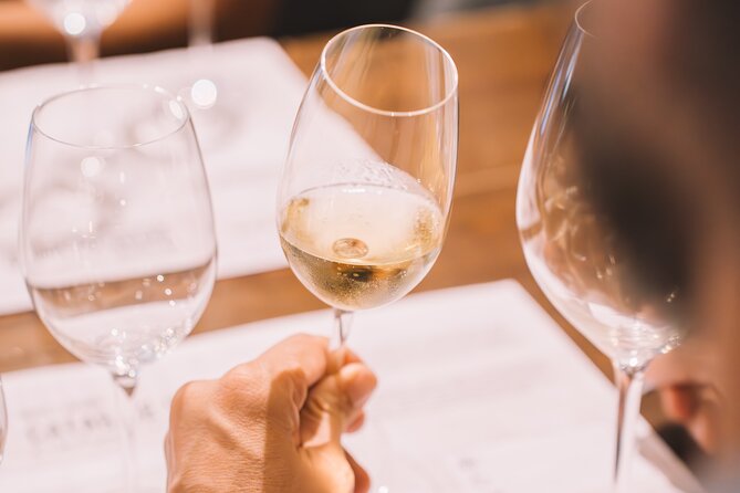 Andalusian Wine Tasting in Cala de Mijas - 4 Top Wines + Tapas - Local cheeses and simple tapas with the wine