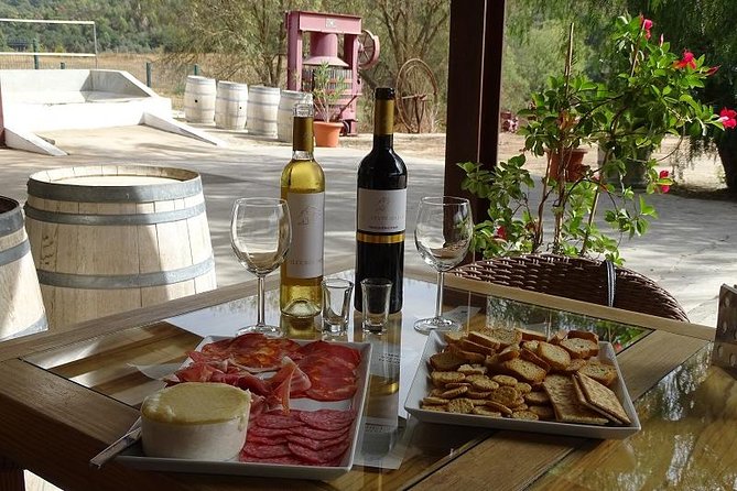 Arrábida Palmela Azeitão Private Tour - W/ Wine Tasting & Tapas - Crossing the Tagus on Lisbon’s two great bridges