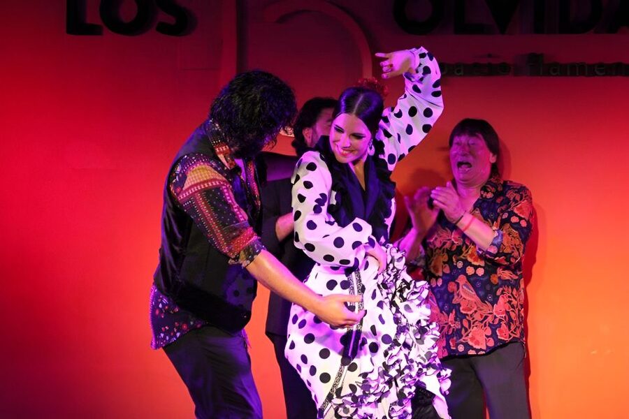 Authentic Flamenco Show & Tapas Tour in Granada - Who will enjoy this Granada evening most?