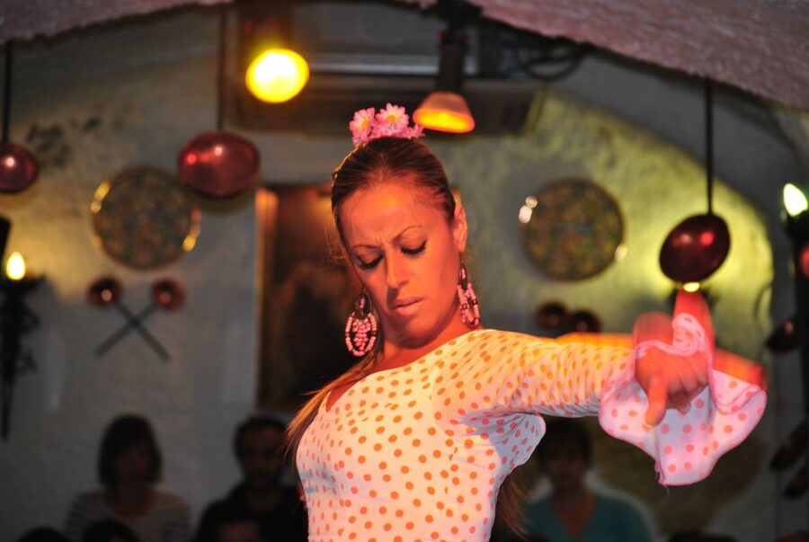 Barcelona: City Tour & Flamenco Show with Wine & Tapas - What the private format adds