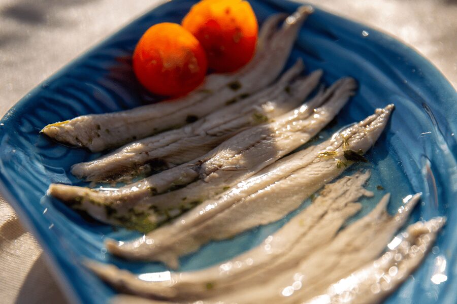 Barcelona: Local Tapas and Drinks Sailing Adventure Tour - Is the $105 price good value?