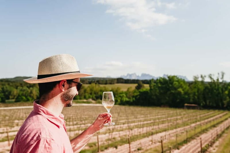 Barcelona: Montserrat and Winery Tour with Tapas or Lunch - Planning your free time at Montserrat
