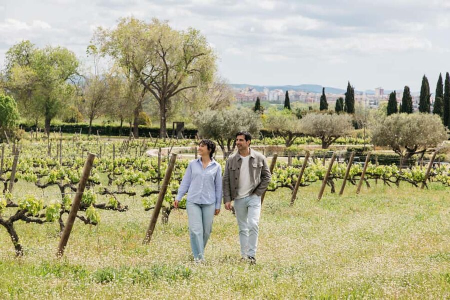 Barcelona-Penedès: Familia Torres wine & tapas winery tour - A Penedès visit built around place, food, and family