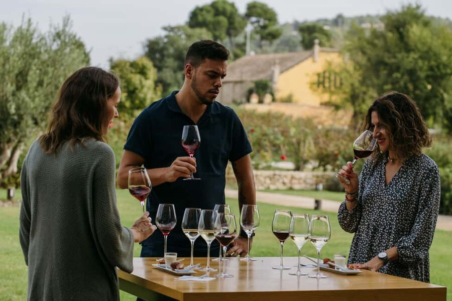 Barcelona-Penedès: Familia Torres wine & tapas winery tour - Is the $44 price good value?