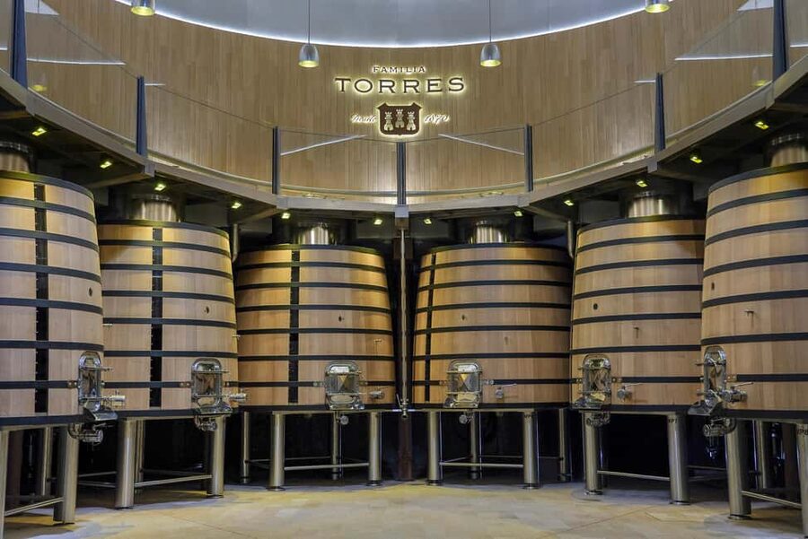 Barcelona-Penedès: Familia Torres wine & tapas winery tour - Should you book the Familia Torres tour?