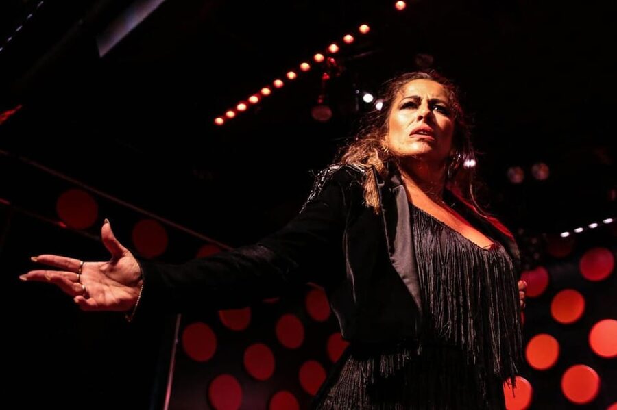 Barcelona: Tapas and Flamenco Experience - From Travellers Nest Bar to Plaça Reial