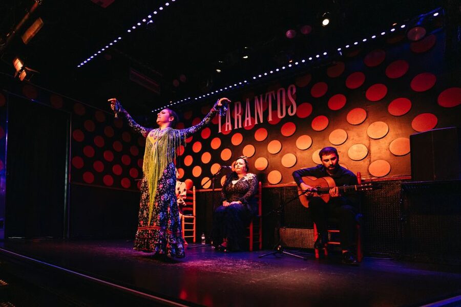 Barcelona: Tapas and Flamenco Experience - A short show with serious intensity