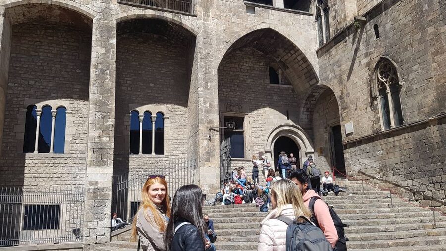 Barcelona: Tapas & Picasso Museum Guided Walking Tour - Who should book this tour?