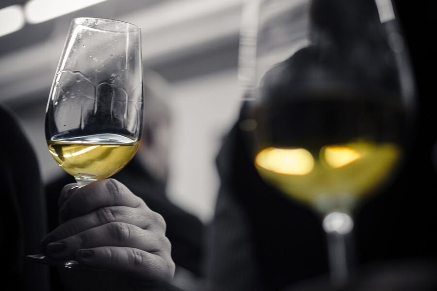 Barcelona Wine Tasting: Catalan and Spanish Wines - What happens between the first sip and the last red