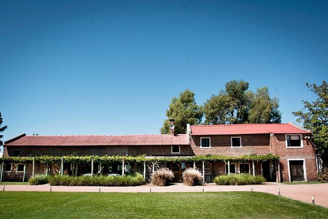 Bouza Winery Tastings and Tapas (Esp, Eng, Port) - Leaving Montevideo for Bouza’s vineyards