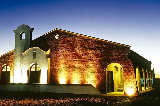 Bouza Winery Tastings and Tapas (Esp, Eng, Port) - Four wines, tapas, and a room full of cars