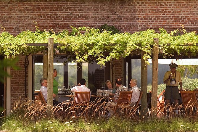 Bouza Winery Tastings and Tapas (Esp, Eng, Port) - Language: the biggest uncertainty
