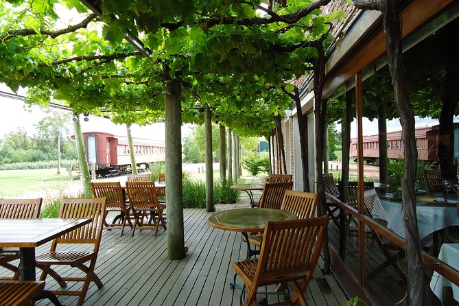 Bouza Winery Tastings and Tapas (Esp, Eng, Port) - The 45-minute walk through Bouza Bodega Boutique