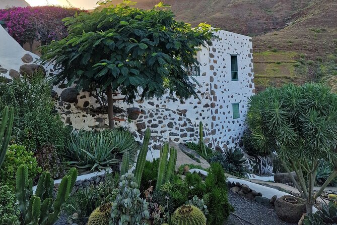 Canarian farmhouse in Mogan, mango farm and vermouth factory - Who will enjoy this most?