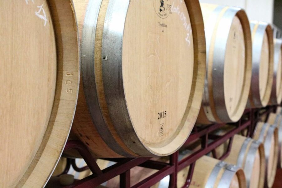 Carvoeiro/Portimão/Alvor: Wine Tour w/ Tasting, Tapas, Music - Who will enjoy this Algarve wine tour most?