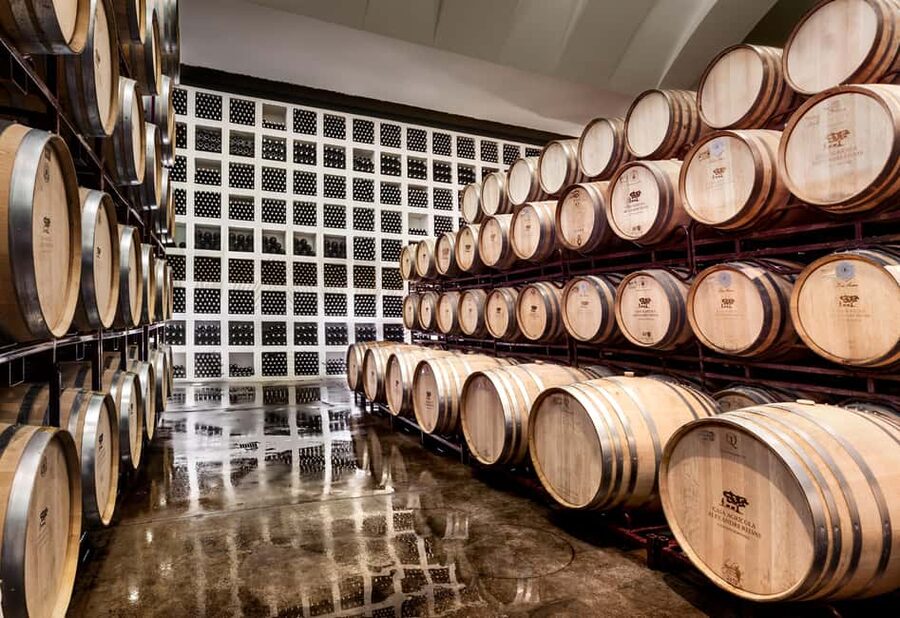 Casa Relvas, Évora - Visit to the Winery with Tasting of Portuguese Grape Varieties and Tapas - Starting with Casa Relvas and the Alentejo setting