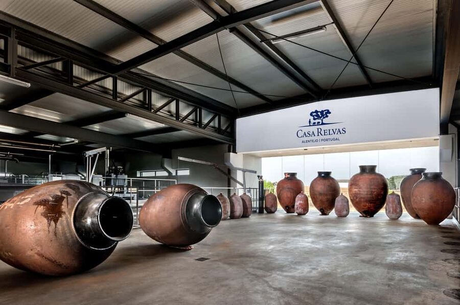 Casa Relvas, Évora - Visit to the Winery with Tasting of Portuguese Grape Varieties and Tapas - Watching grapes arrive, separate, and ferment