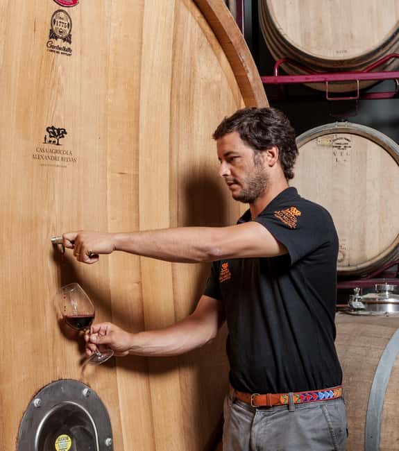 Casa Relvas, Évora - Visit to the Winery with Tasting of Portuguese Grape Varieties and Tapas - Booking, cancellation, and practical timing