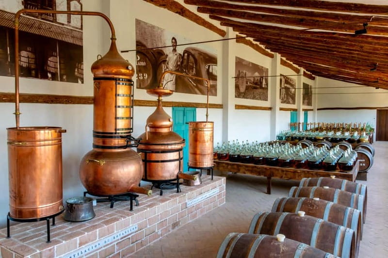 Casa Vermouth Padró: Vermouth tasting and guided visit in Bràfim (Tarragona) - Why the botanical table matters