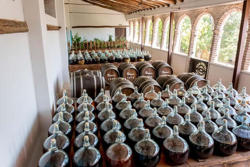 Casa Vermouth Padró: Vermouth tasting and guided visit in Bràfim (Tarragona) - A pleasant introduction to vermouth tourism