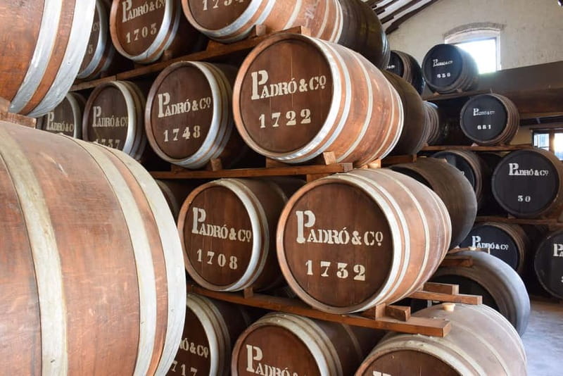 Casa Vermouth Padró: Vermouth tasting and guided visit in Bràfim (Tarragona) - Should you book Casa Vermouth Padró?