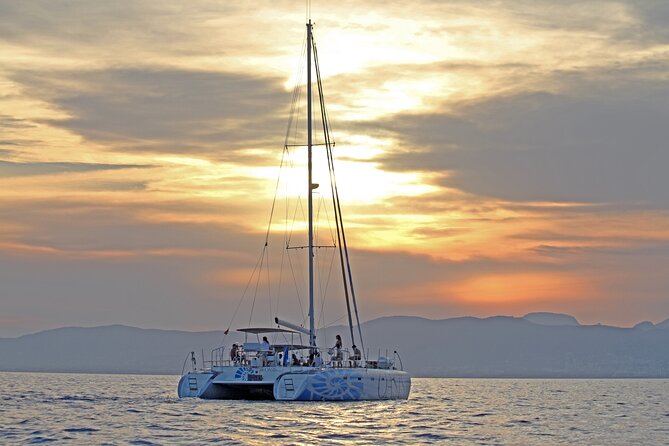 Catamaran sailing at sunset with tapas Palma de Mallorca - Returning past Palma Cathedral