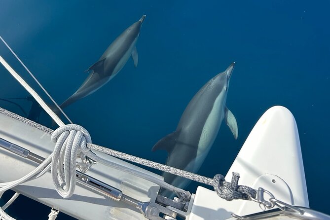 Catamaran Sailing Experience Manilva Tapas Drink Dolphins Swim Stop - Key points to know before you book