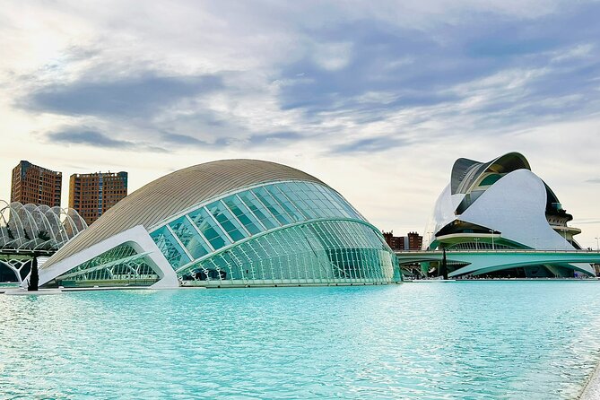 City of Arts & Sciences Tour with Rooftop Tapas & Wine - Key points to know before booking