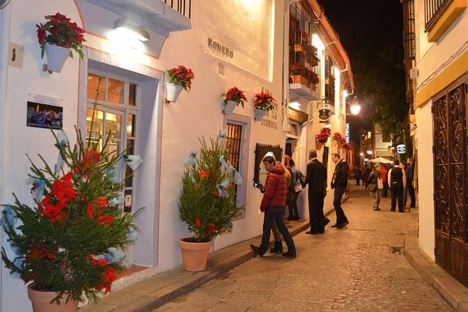Cordoba by Night Tapas & Wines - Private feel, group-size question, and walking demands
