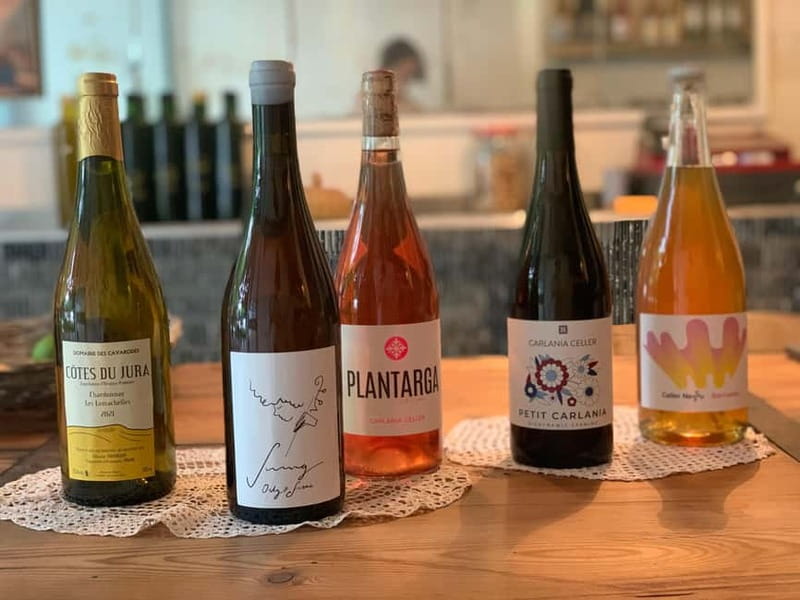 Cordoba: From Vine to Table: A Spanish Wine Experience - Stories behind the bottles and families