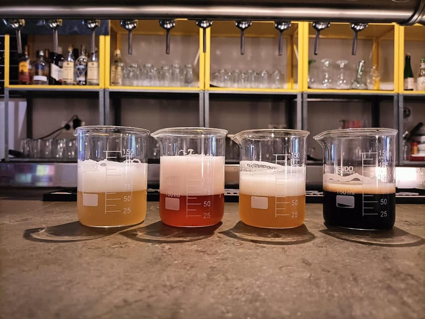 Craft Beer Tasting and tapas in Valencia - Comparing sours, IPAs, and stouts