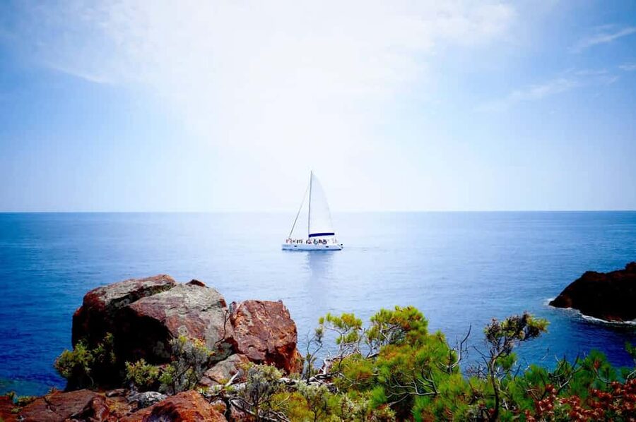 Denia/Jávea: a day at sea with paella on Isla Portitxol - A Costa Blanca boat day built around Portitxol