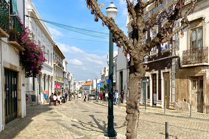 Discover Tavira - Tapas and Wine Tour - Salt flats and the working side of town