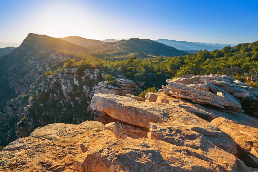 Discovering Valencia: Horchata, Paella & Vistas-Private Tour - A 20-minute pine forest walk