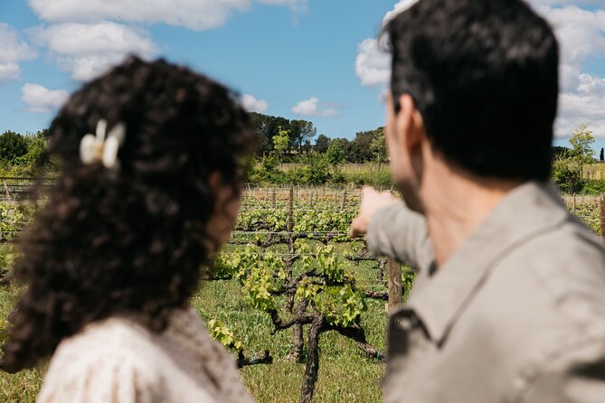 Familia Torres Winery: Gastronomic Tapas & Wine Experience - Inside the Waltraud winery