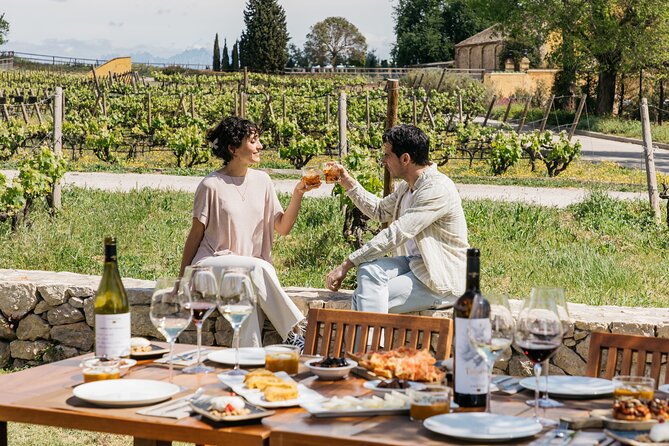 Familia Torres Winery: Gastronomic Tapas & Wine Experience - Four wines, from vermouth to sparkling