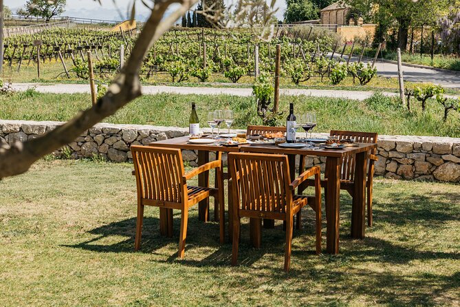 Familia Torres Winery: Gastronomic Tapas & Wine Experience - Who will enjoy this more than a small-estate tour