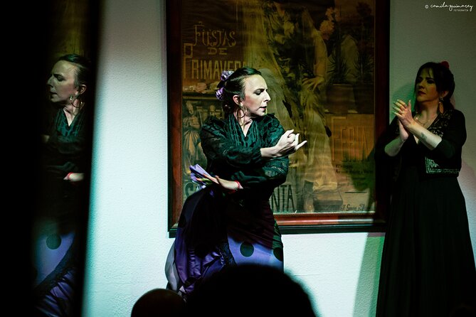Flamenco Show in Seville at Bar and Tapas - Key points to know before booking